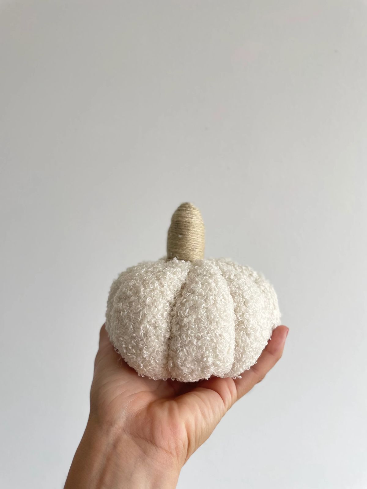 Cojín de Calabaza grande