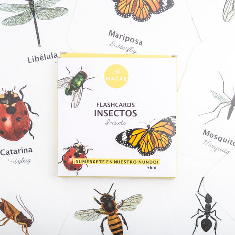 Flashcards a prueba de agua Modelo  “Insectos”