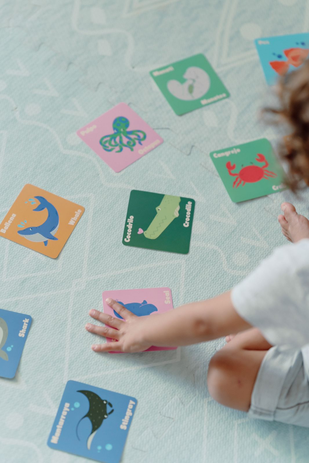 Flashcards a prueba de agua Bababu (5 modelos diferentes)